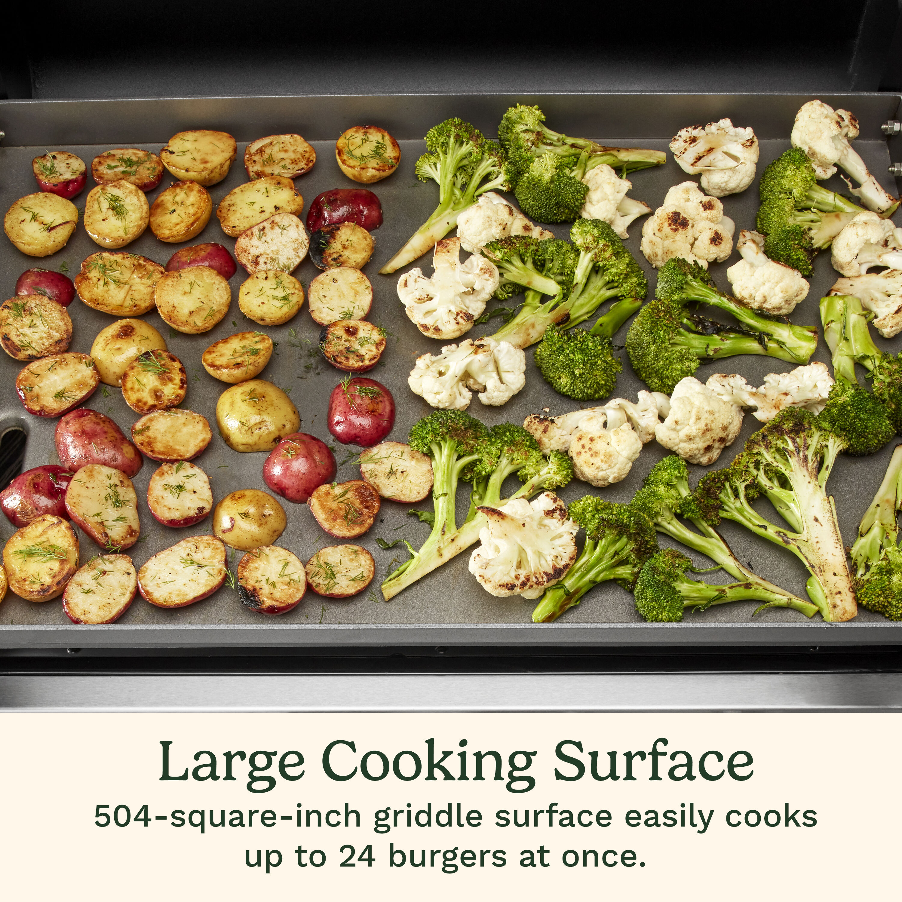 fea1513ca42df31b6b5e443670bb895b